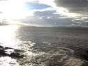 ./images/koeye/fitz-hugh/20141022/fitz-hugh20141022_161002.jpg