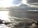 ./images/koeye/fitz-hugh/20141022/fitz-hugh20141022_161501.jpg