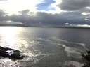 ./images/koeye/fitz-hugh/20141022/fitz-hugh20141022_162001.jpg