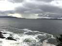 ./images/koeye/fitz-hugh/20141022/fitz-hugh20141022_164502.jpg