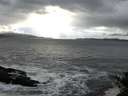 ./images/koeye/fitz-hugh/20141022/fitz-hugh20141022_170503.jpg