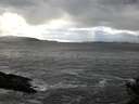 ./images/koeye/fitz-hugh/20141022/fitz-hugh20141022_171001.jpg