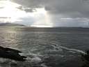 ./images/koeye/fitz-hugh/20141022/fitz-hugh20141022_171503.jpg