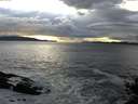 ./images/koeye/fitz-hugh/20141022/fitz-hugh20141022_174002.jpg