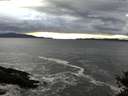 ./images/koeye/fitz-hugh/20141022/fitz-hugh20141022_175002.jpg