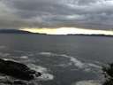 ./images/koeye/fitz-hugh/20141022/fitz-hugh20141022_180002.jpg