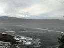 ./images/koeye/fitz-hugh/20141023/fitz-hugh20141023_073502.jpg