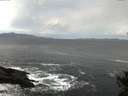 ./images/koeye/fitz-hugh/20141023/fitz-hugh20141023_074004.jpg