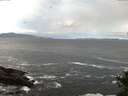 ./images/koeye/fitz-hugh/20141023/fitz-hugh20141023_074501.jpg