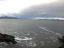./images/koeye/fitz-hugh/20141023/fitz-hugh20141023_080502.jpg
