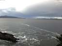 ./images/koeye/fitz-hugh/20141023/fitz-hugh20141023_081002.jpg