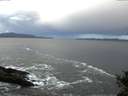 ./images/koeye/fitz-hugh/20141023/fitz-hugh20141023_081501.jpg