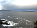 ./images/koeye/fitz-hugh/20141023/fitz-hugh20141023_082501.jpg