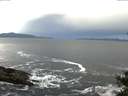 ./images/koeye/fitz-hugh/20141023/fitz-hugh20141023_083502.jpg