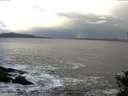 ./images/koeye/fitz-hugh/20141023/fitz-hugh20141023_085003.jpg