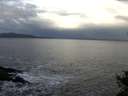 ./images/koeye/fitz-hugh/20141023/fitz-hugh20141023_090502.jpg