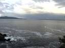 ./images/koeye/fitz-hugh/20141023/fitz-hugh20141023_091502.jpg