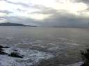 ./images/koeye/fitz-hugh/20141023/fitz-hugh20141023_092002.jpg
