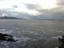 ./images/koeye/fitz-hugh/20141023/fitz-hugh20141023_092503.jpg