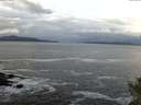 ./images/koeye/fitz-hugh/20141023/fitz-hugh20141023_095002.jpg
