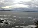 ./images/koeye/fitz-hugh/20141023/fitz-hugh20141023_101001.jpg