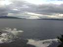 ./images/koeye/fitz-hugh/20141023/fitz-hugh20141023_110501.jpg