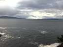 ./images/koeye/fitz-hugh/20141023/fitz-hugh20141023_112002.jpg