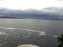 ./images/koeye/fitz-hugh/20141023/fitz-hugh20141023_120002.jpg
