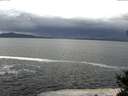 ./images/koeye/fitz-hugh/20141023/fitz-hugh20141023_120503.jpg