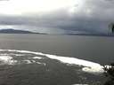 ./images/koeye/fitz-hugh/20141023/fitz-hugh20141023_122501.jpg