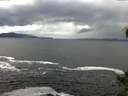 ./images/koeye/fitz-hugh/20141023/fitz-hugh20141023_124002.jpg