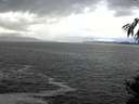 ./images/koeye/fitz-hugh/20141023/fitz-hugh20141023_130501.jpg
