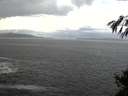 ./images/koeye/fitz-hugh/20141023/fitz-hugh20141023_132001.jpg