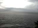 ./images/koeye/fitz-hugh/20141023/fitz-hugh20141023_133503.jpg