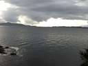 ./images/koeye/fitz-hugh/20141023/fitz-hugh20141023_154002.jpg