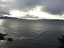 ./images/koeye/fitz-hugh/20141023/fitz-hugh20141023_160003.jpg