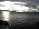 ./images/koeye/fitz-hugh/20141023/fitz-hugh20141023_163502.jpg