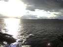 ./images/koeye/fitz-hugh/20141023/fitz-hugh20141023_164503.jpg