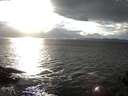 ./images/koeye/fitz-hugh/20141023/fitz-hugh20141023_165002.jpg