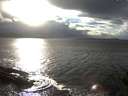 ./images/koeye/fitz-hugh/20141023/fitz-hugh20141023_165502.jpg