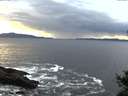 ./images/koeye/fitz-hugh/20141023/fitz-hugh20141023_175001.jpg