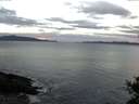 ./images/koeye/fitz-hugh/20141024/fitz-hugh20141024_082001.jpg