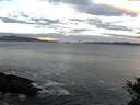 ./images/koeye/fitz-hugh/20141024/fitz-hugh20141024_082501.jpg