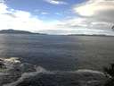 ./images/koeye/fitz-hugh/20141024/fitz-hugh20141024_120501.jpg