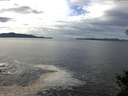 ./images/koeye/fitz-hugh/20141024/fitz-hugh20141024_130503.jpg