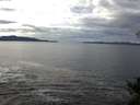 ./images/koeye/fitz-hugh/20141024/fitz-hugh20141024_131002.jpg