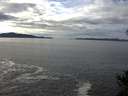 ./images/koeye/fitz-hugh/20141024/fitz-hugh20141024_132002.jpg