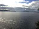 ./images/koeye/fitz-hugh/20141024/fitz-hugh20141024_141002.jpg