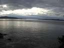 ./images/koeye/fitz-hugh/20141024/fitz-hugh20141024_160003.jpg