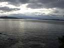./images/koeye/fitz-hugh/20141024/fitz-hugh20141024_160503.jpg